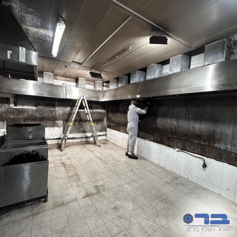 בדיקת מנדפים